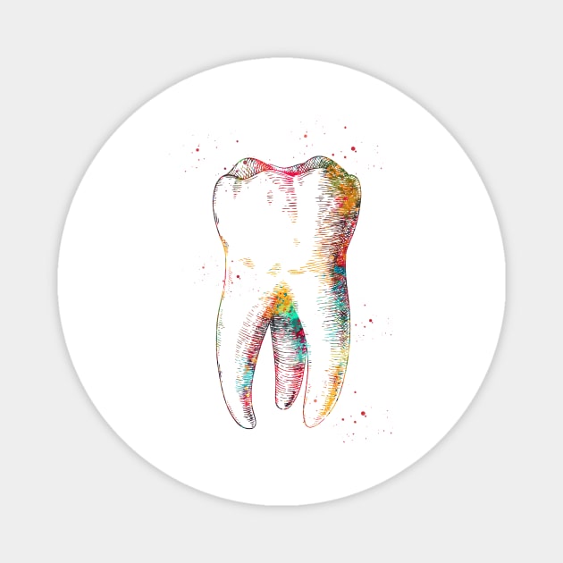 Human tooth Magnet by erzebeth